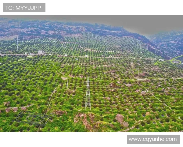 果园风光与生态种植结合的创新发展路径探索及实践意义分析