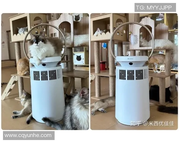 空气净化器如何改善室内空气质量及其对健康的积极影响分析