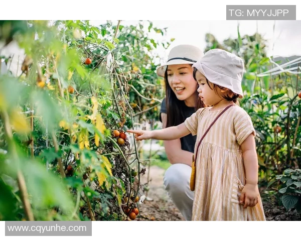 果园采摘之旅：体验丰收季节的自然魅力与农田乐趣