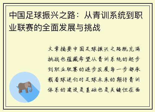 中国足球振兴之路：从青训系统到职业联赛的全面发展与挑战